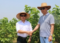 �����c�｛�����L�۲���ؿ���